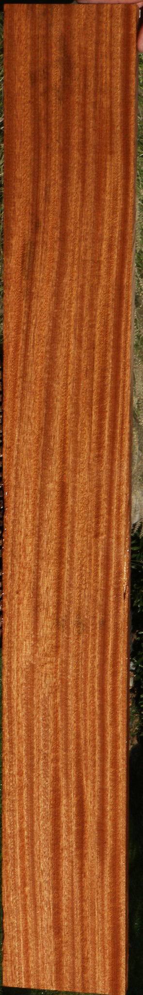 Ribbon Figured Sapele Lumber