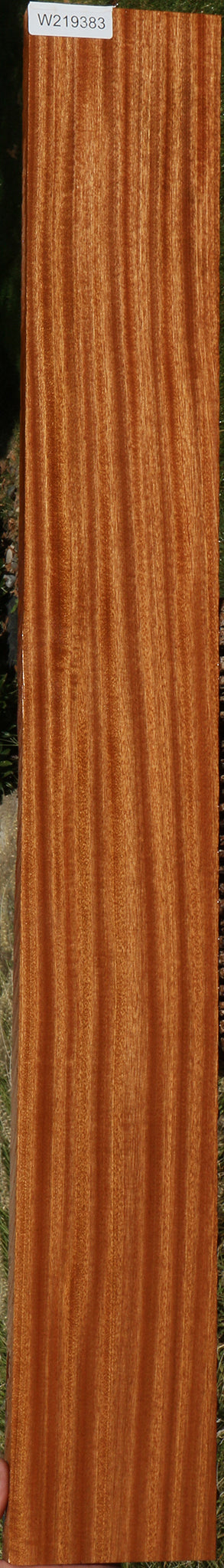 Ribbon Figured Sapele Lumber