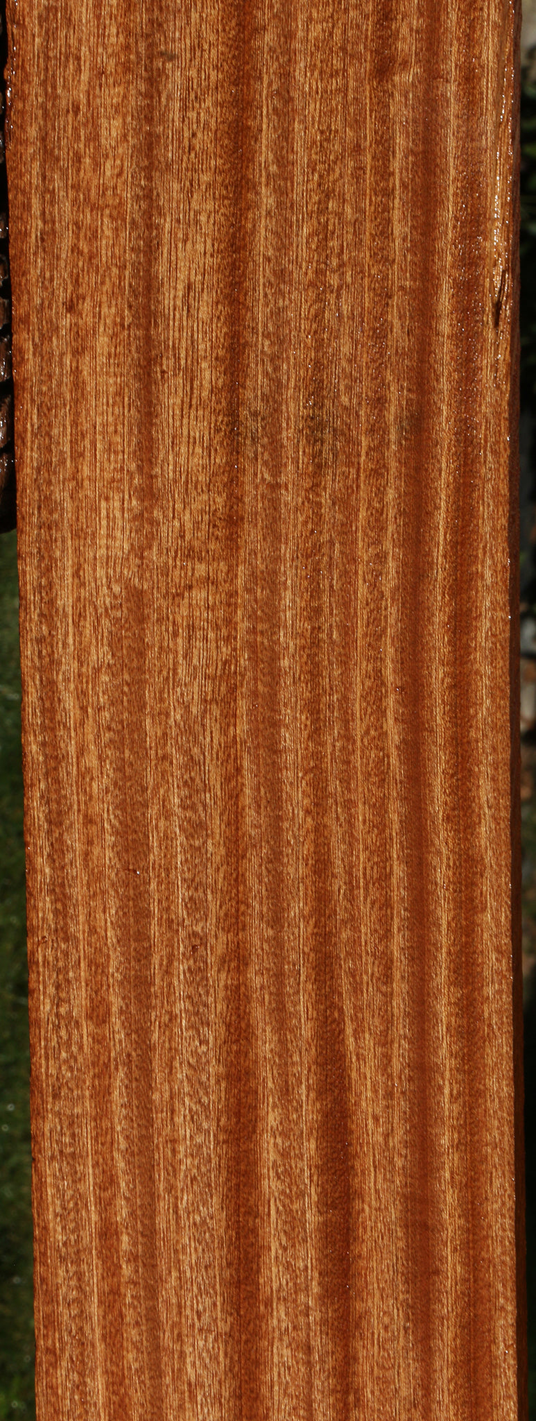 Ribbon Figured Sapele Lumber