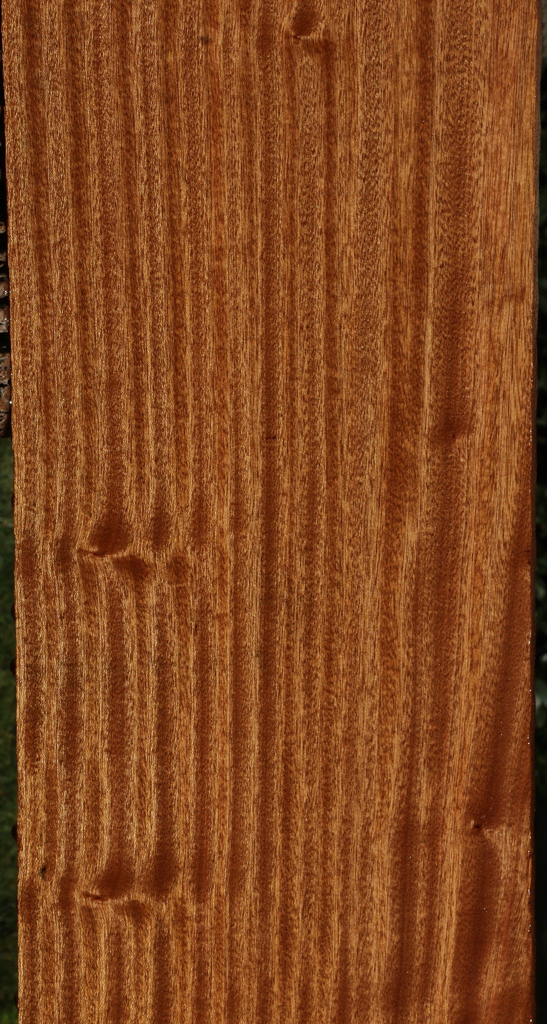 Ribbon Figured Sapele Lumber