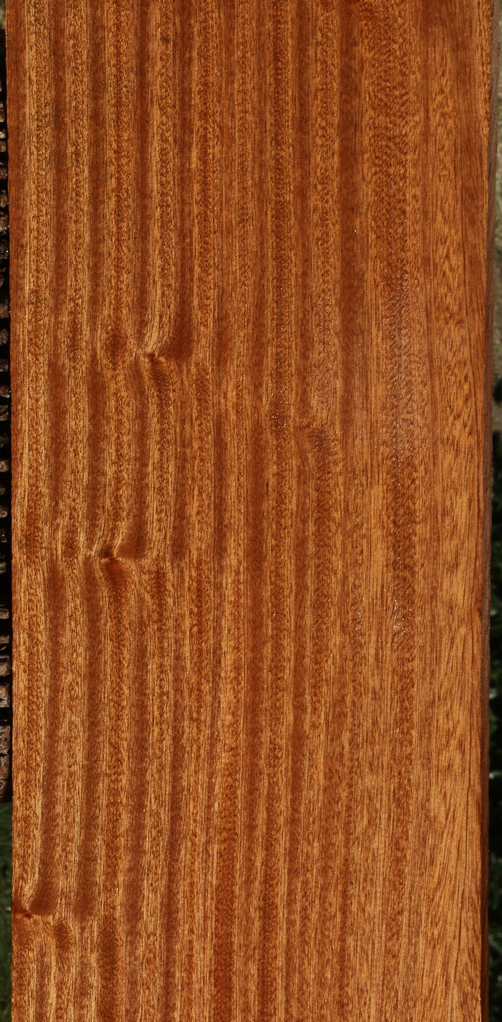 Ribbon Figured Sapele Lumber