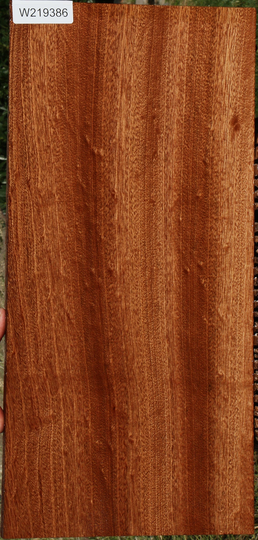 Sapele Lumber