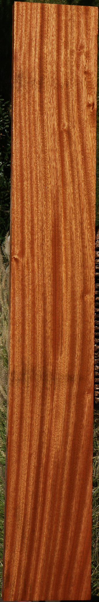 Ribbon Figured Sapele Lumber