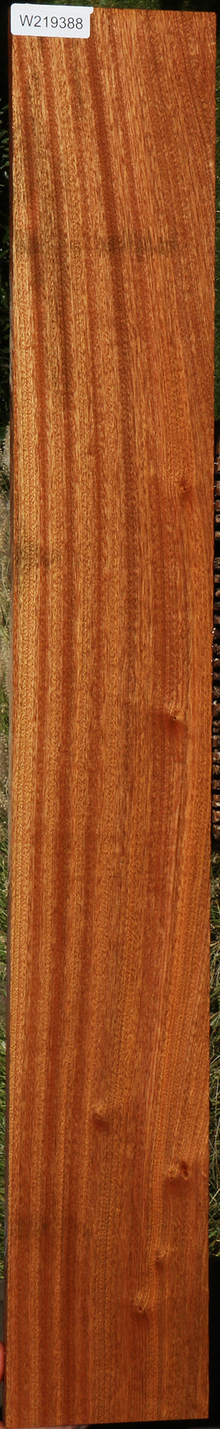 Ribbon Figured Sapele Lumber