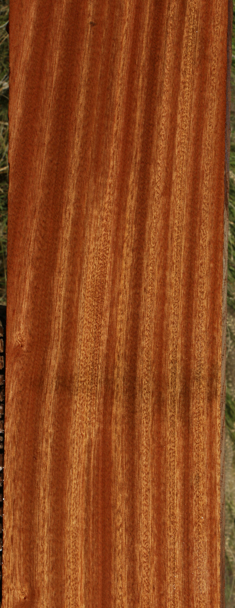 Ribbon Figured Sapele Lumber