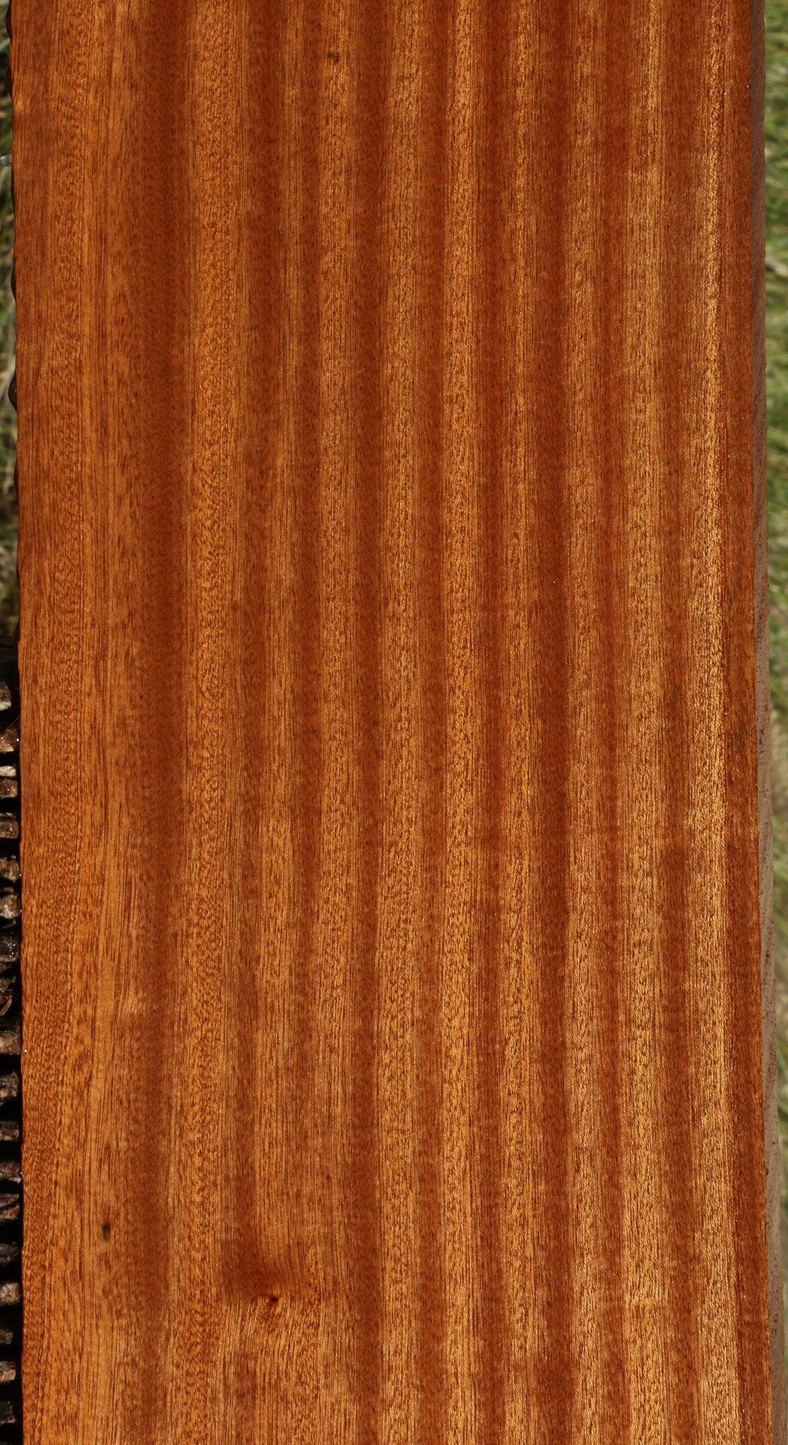 Ribbon Figured Sapele Lumber