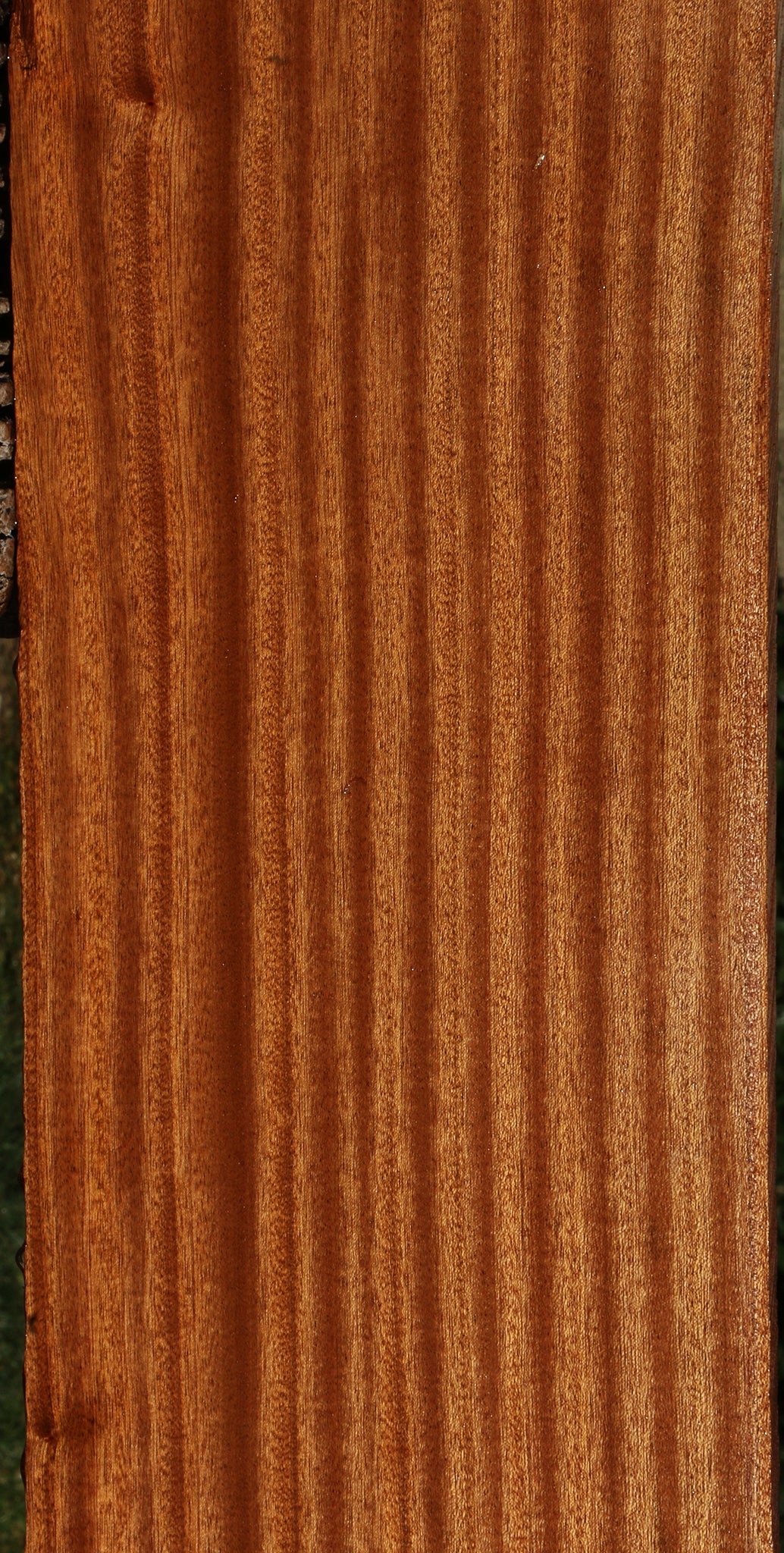 Ribbon Figured Sapele Lumber