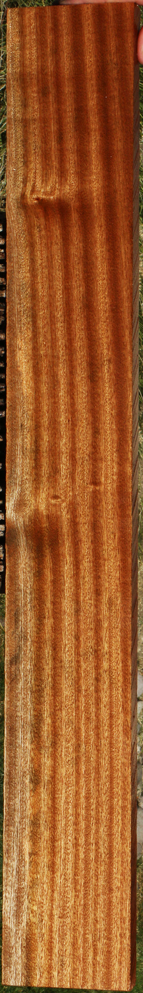 Ribbon Figured Sapele Lumber