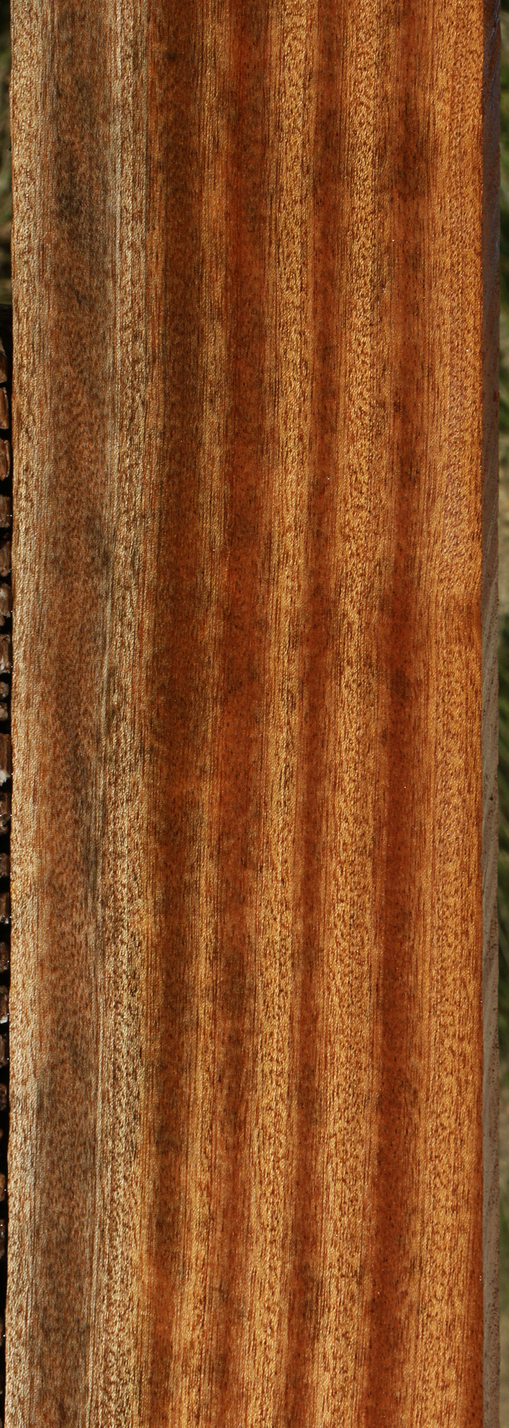 Ribbon Figured Sapele Lumber