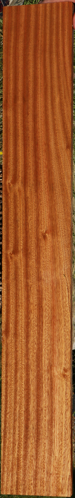 Ribbon Figured Sapele Lumber