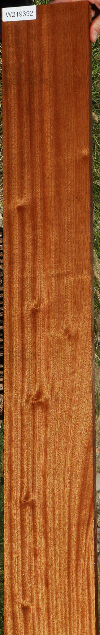 Ribbon Figured Sapele Lumber