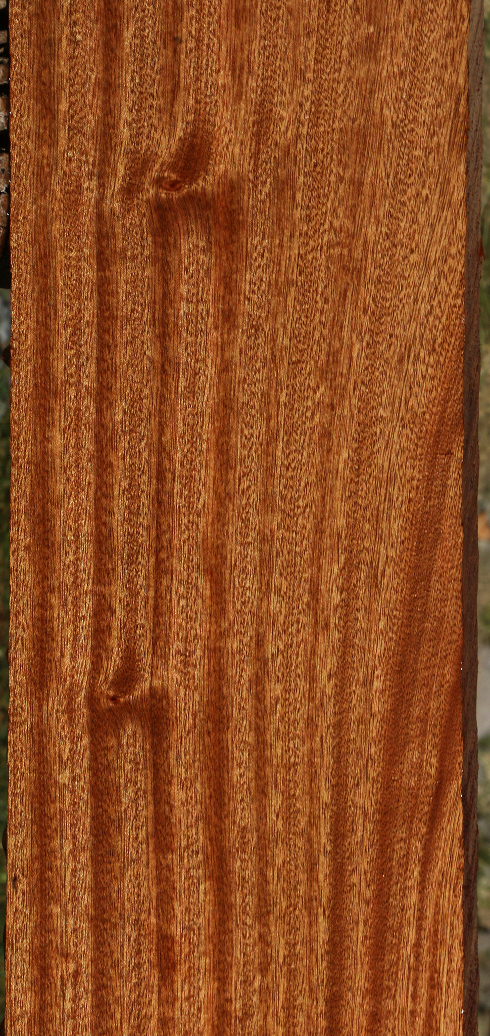 Ribbon Figured Sapele Lumber