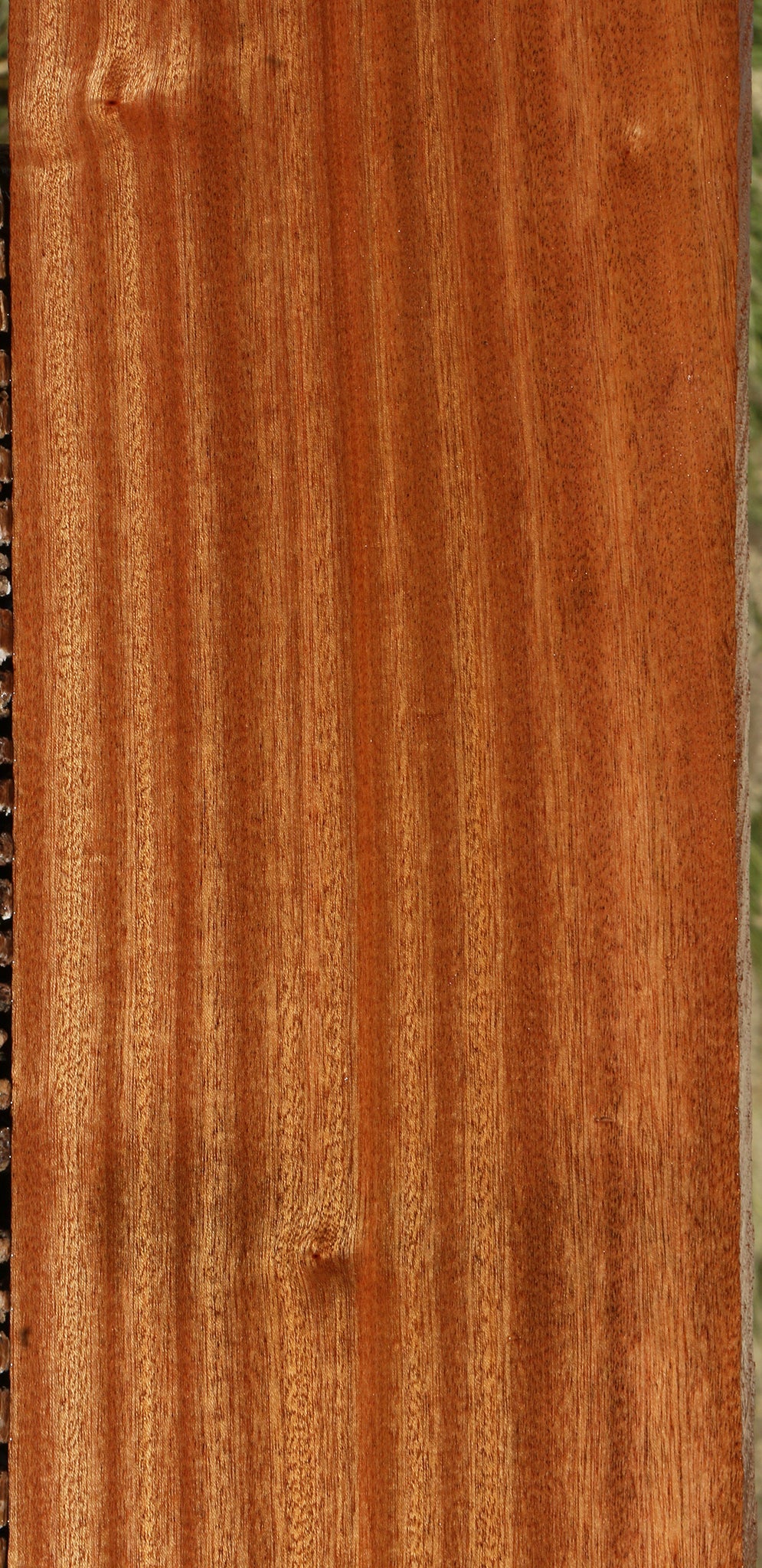 Ribbon Figured Sapele Lumber