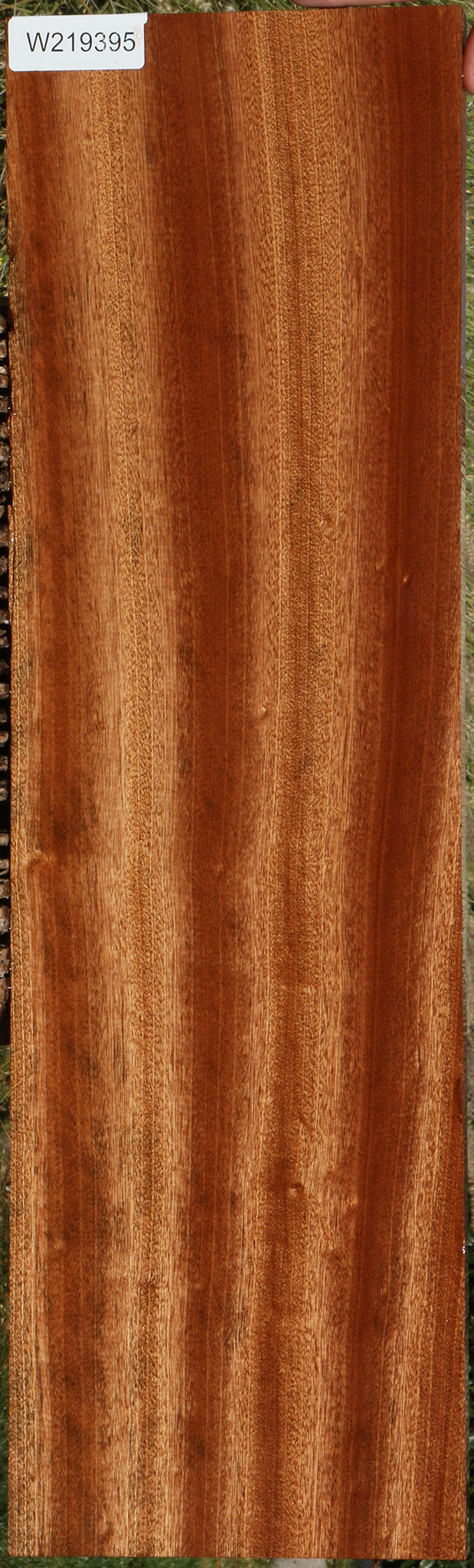 Ribbon Figured Sapele Lumber