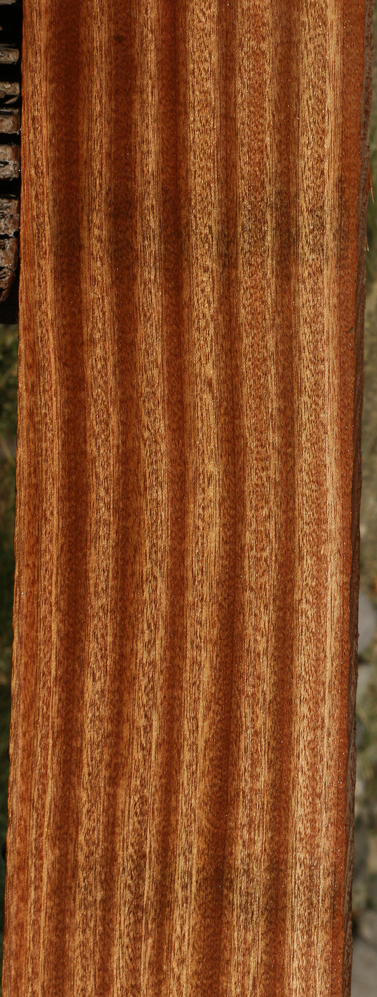 Ribbon Figured Sapele Lumber