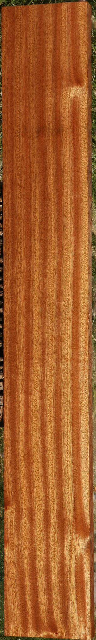 Ribbon Figured Sapele Lumber