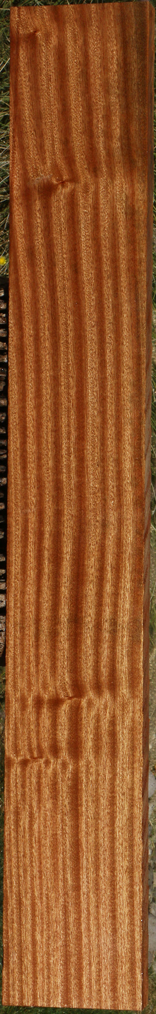 Ribbon Figured Sapele Lumber