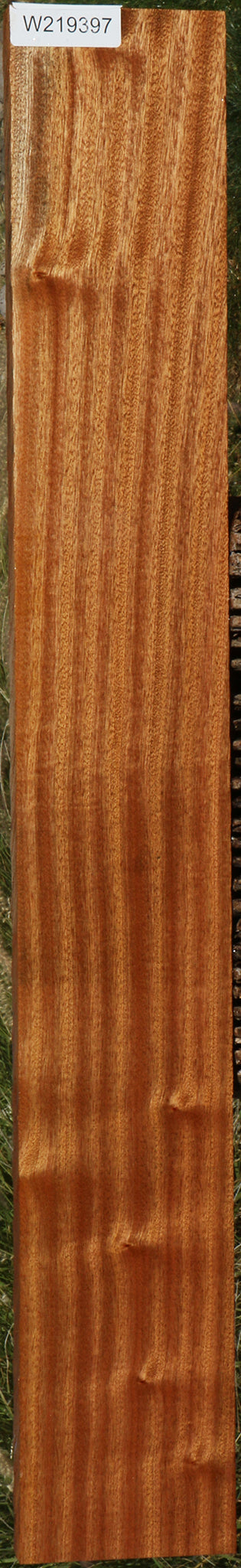 Ribbon Figured Sapele Lumber