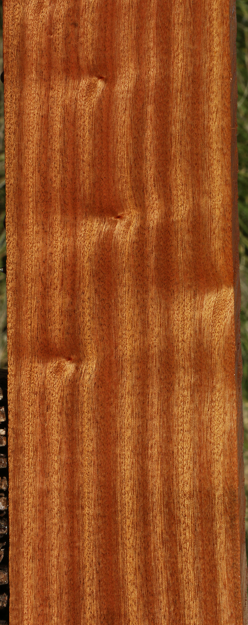 Ribbon Figured Sapele Lumber