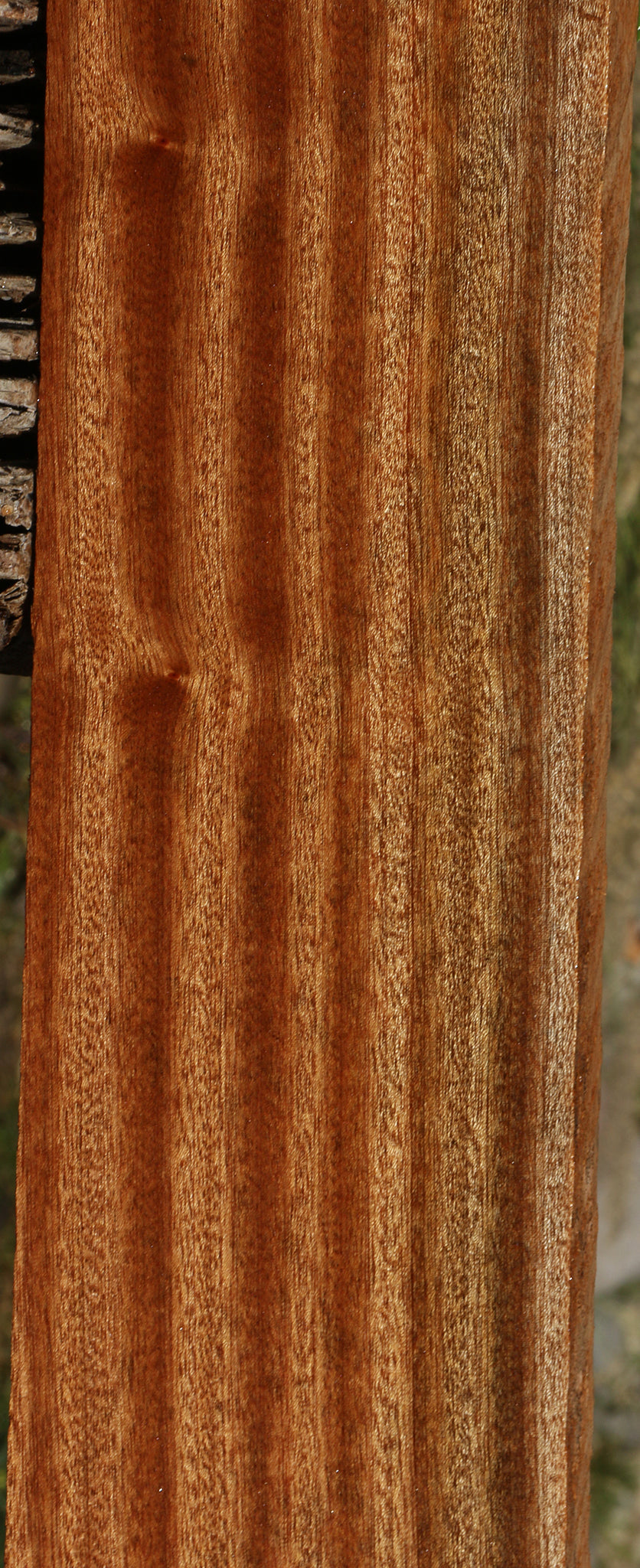 Ribbon Figured Sapele Lumber