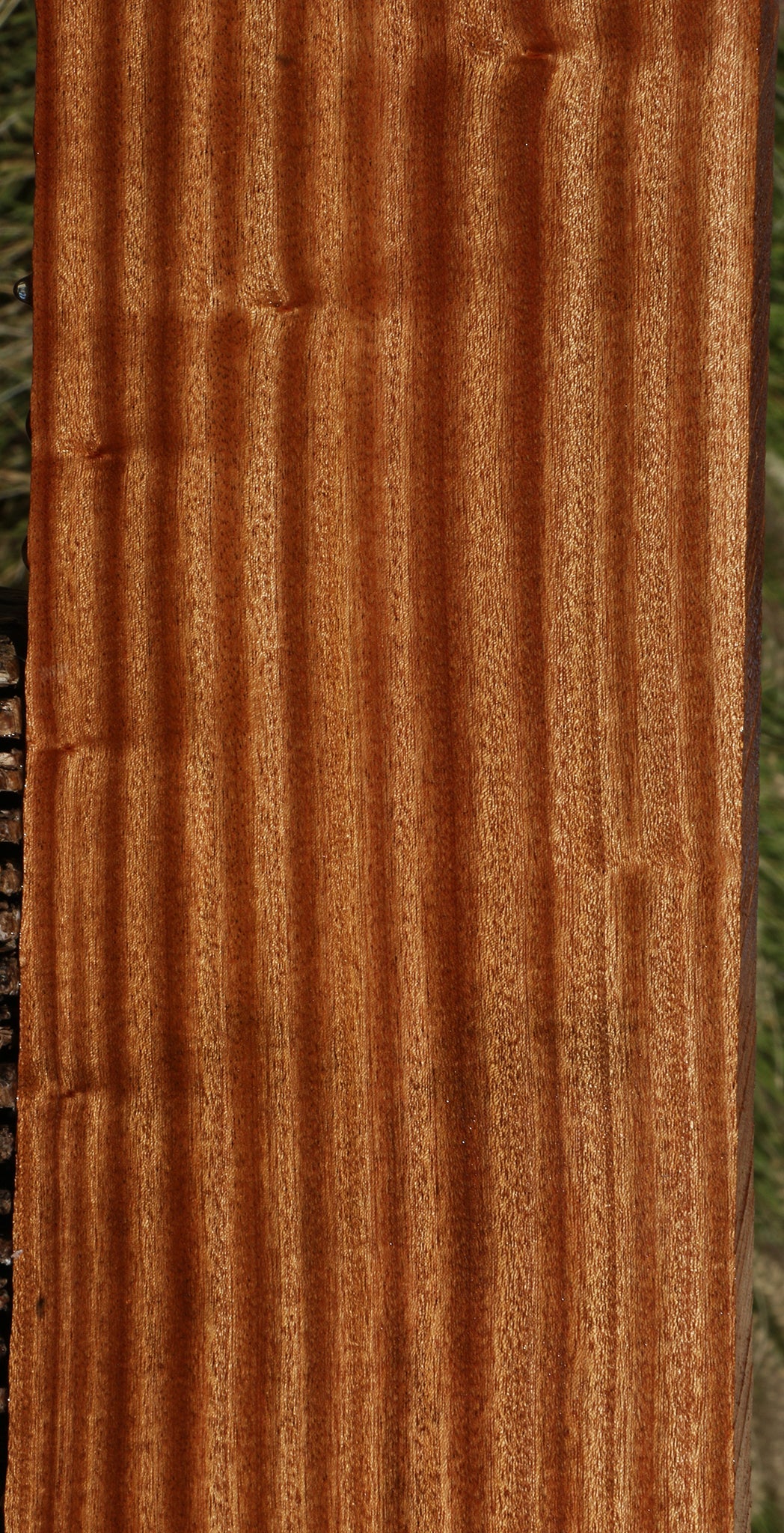 Ribbon Figured Sapele Lumber