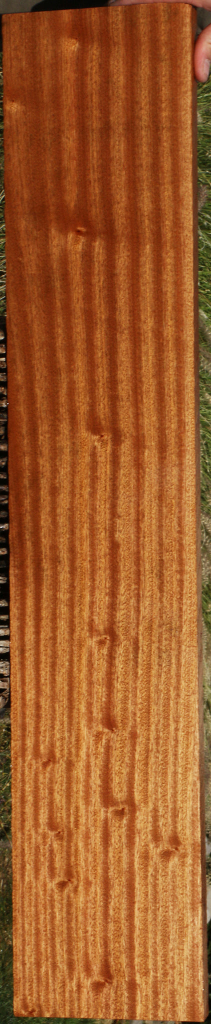 Ribbon Figured Sapele Lumber