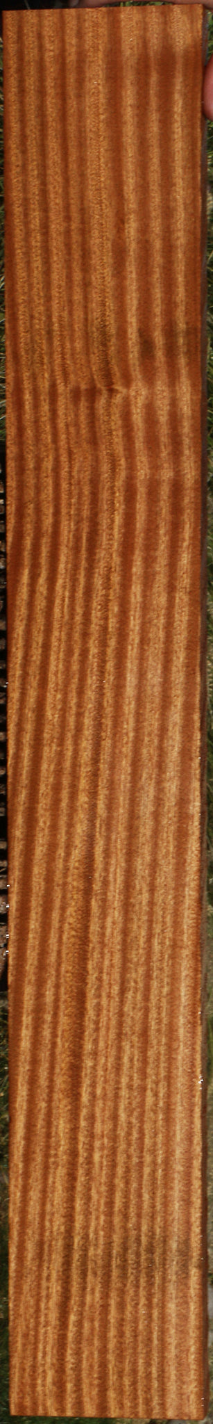 Ribbon Figured Sapele Lumber