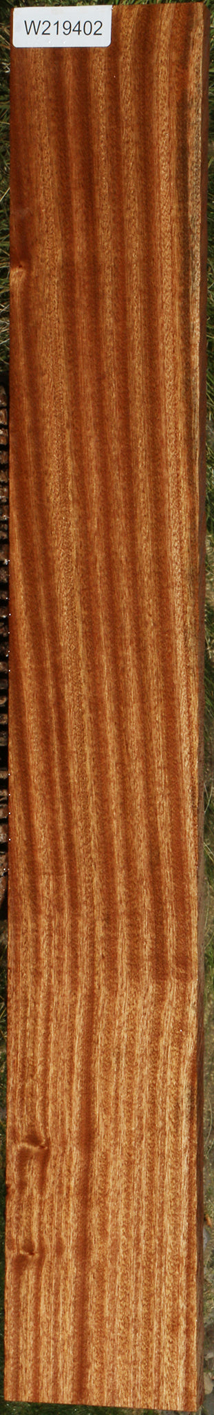 Ribbon Figured Sapele Lumber