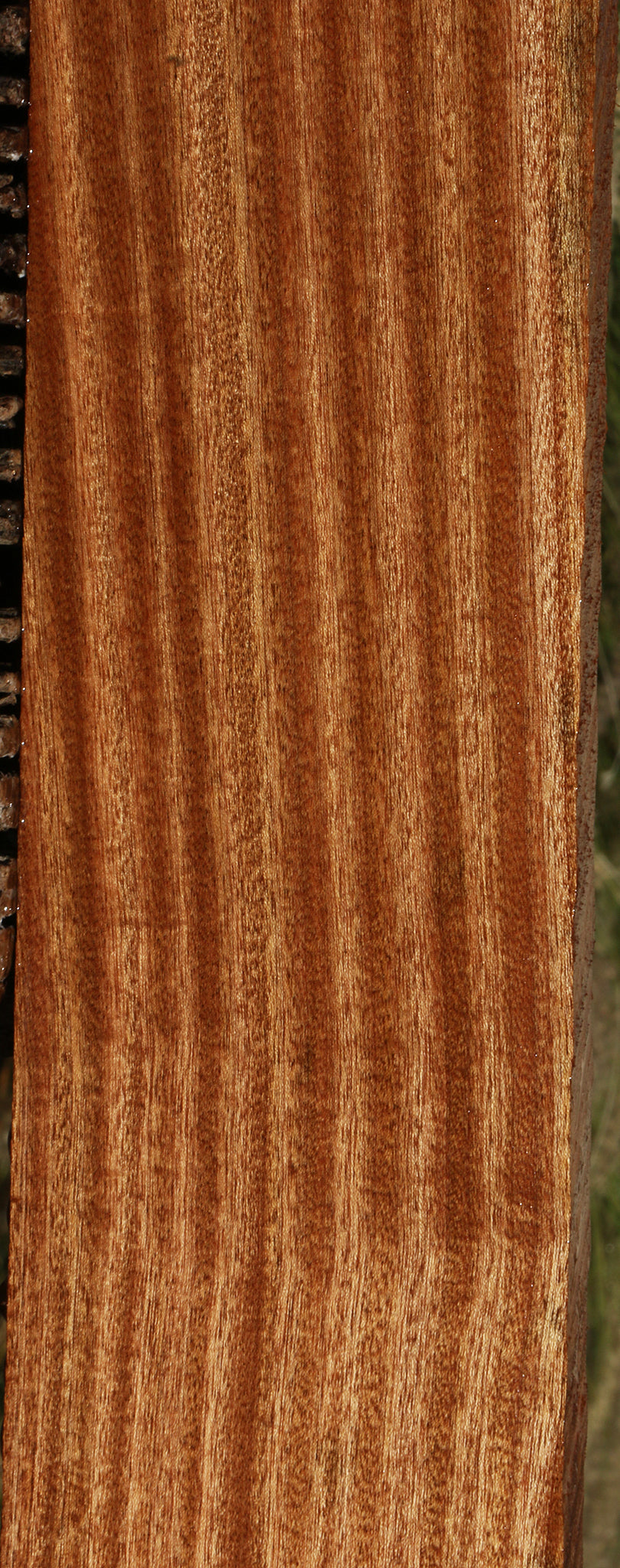 Ribbon Figured Sapele Lumber