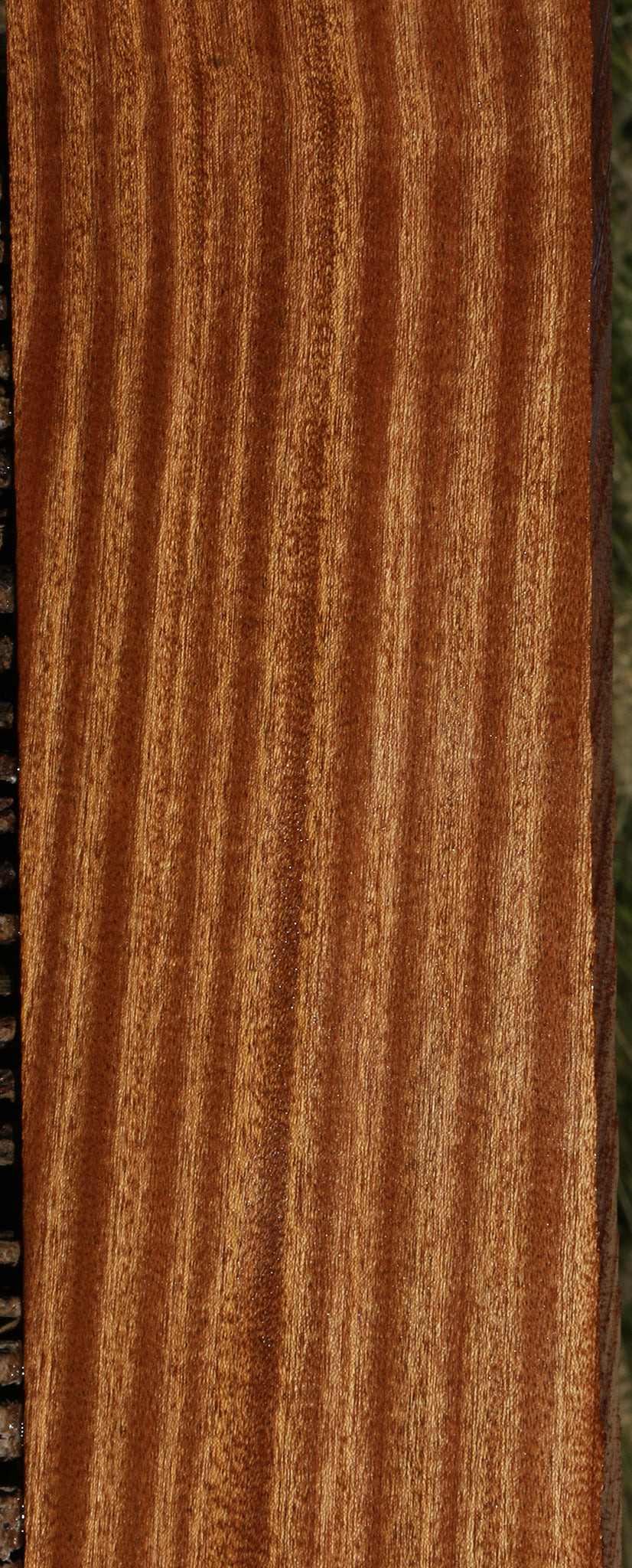 Ribbon Figured Sapele Lumber