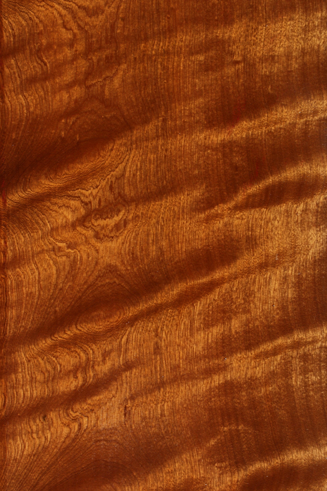 Extra Fancy Sapele Lumber