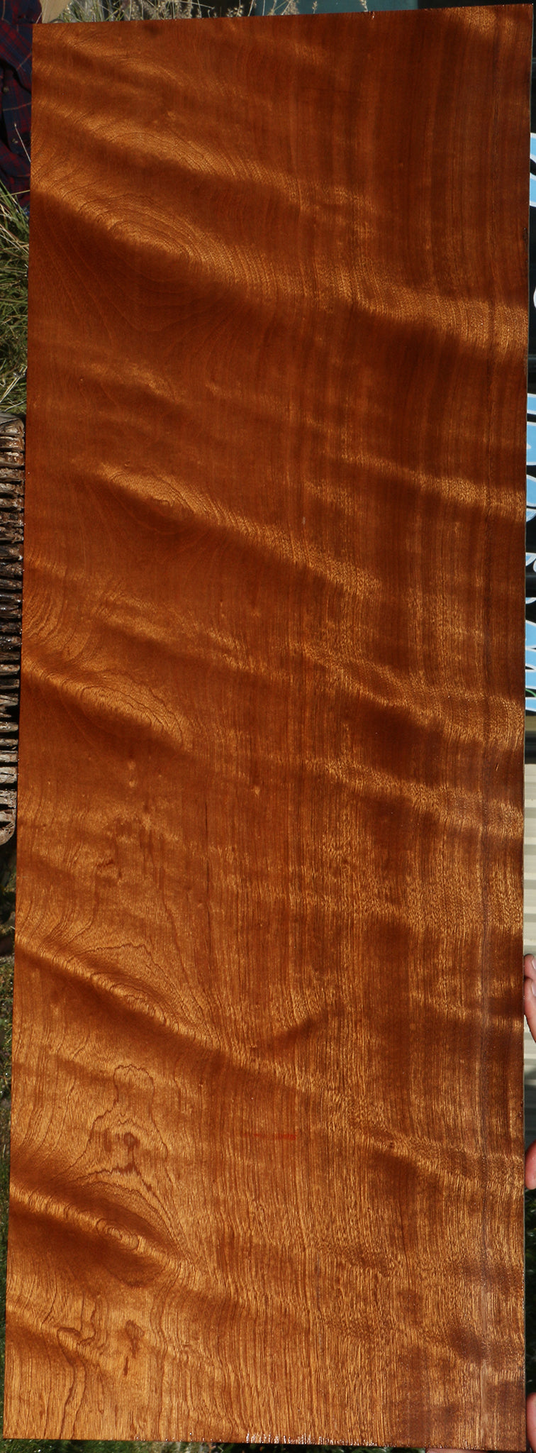 Extra Fancy Sapele Lumber