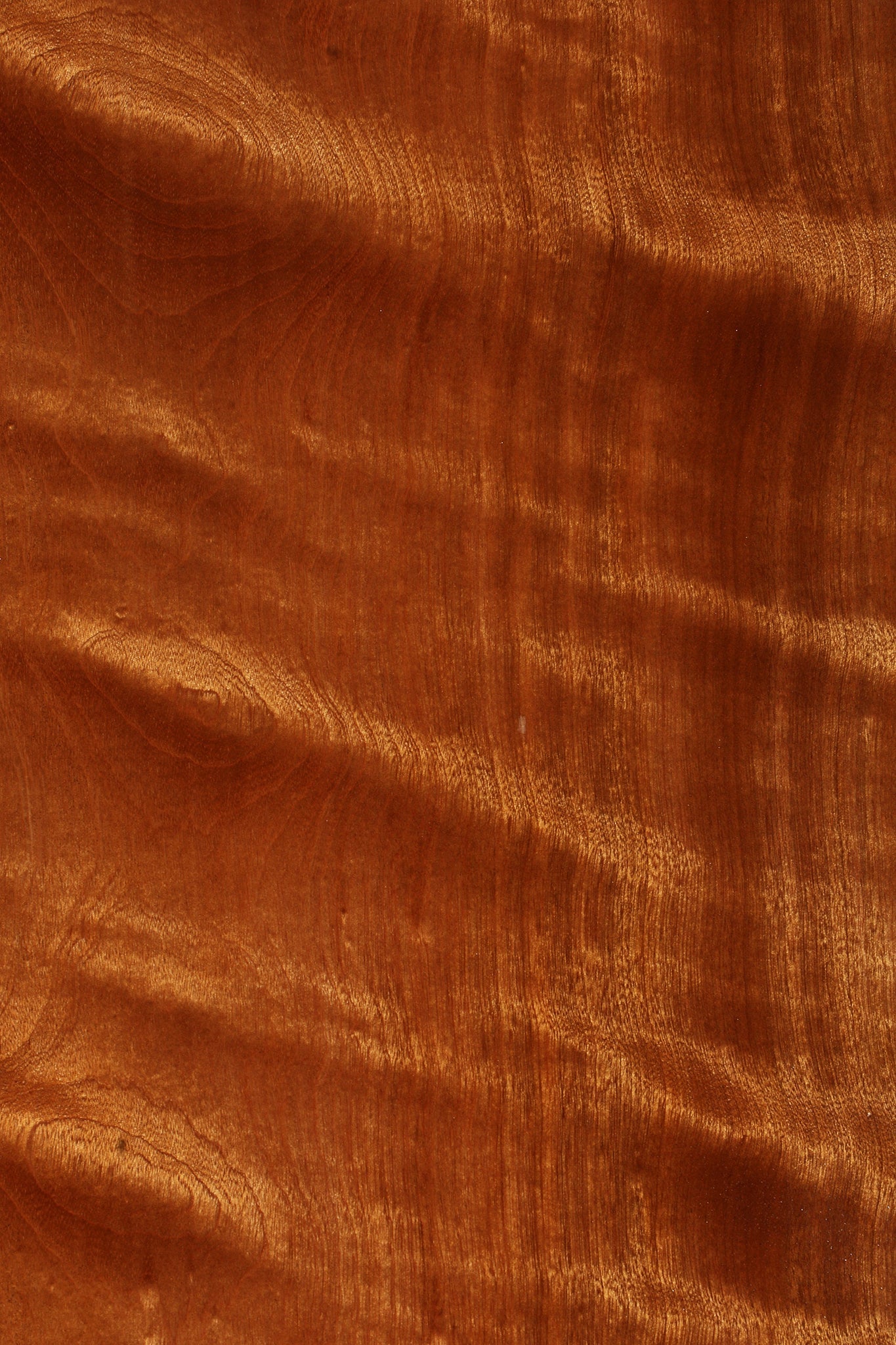 Extra Fancy Sapele Lumber