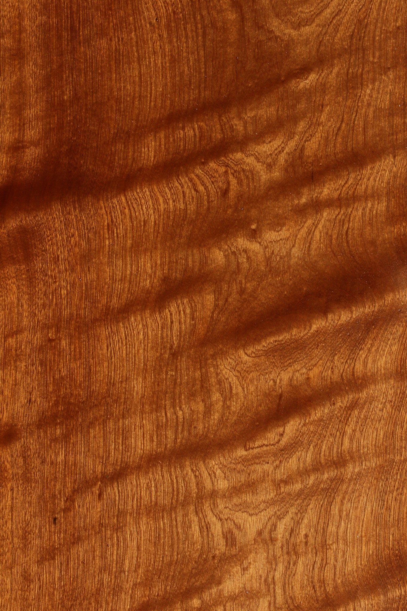 Extra Fancy Sapele Lumber