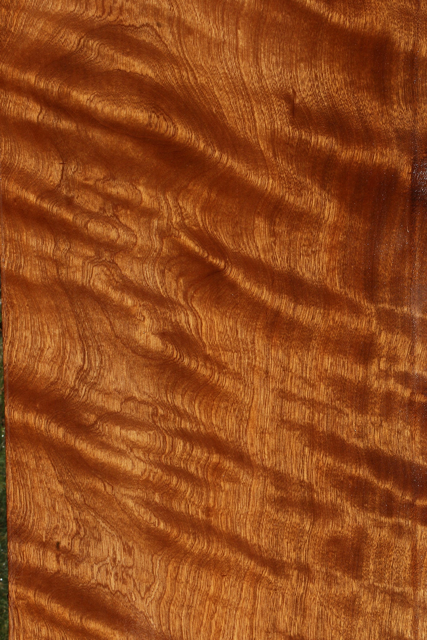 Extra Fancy Sapele Lumber