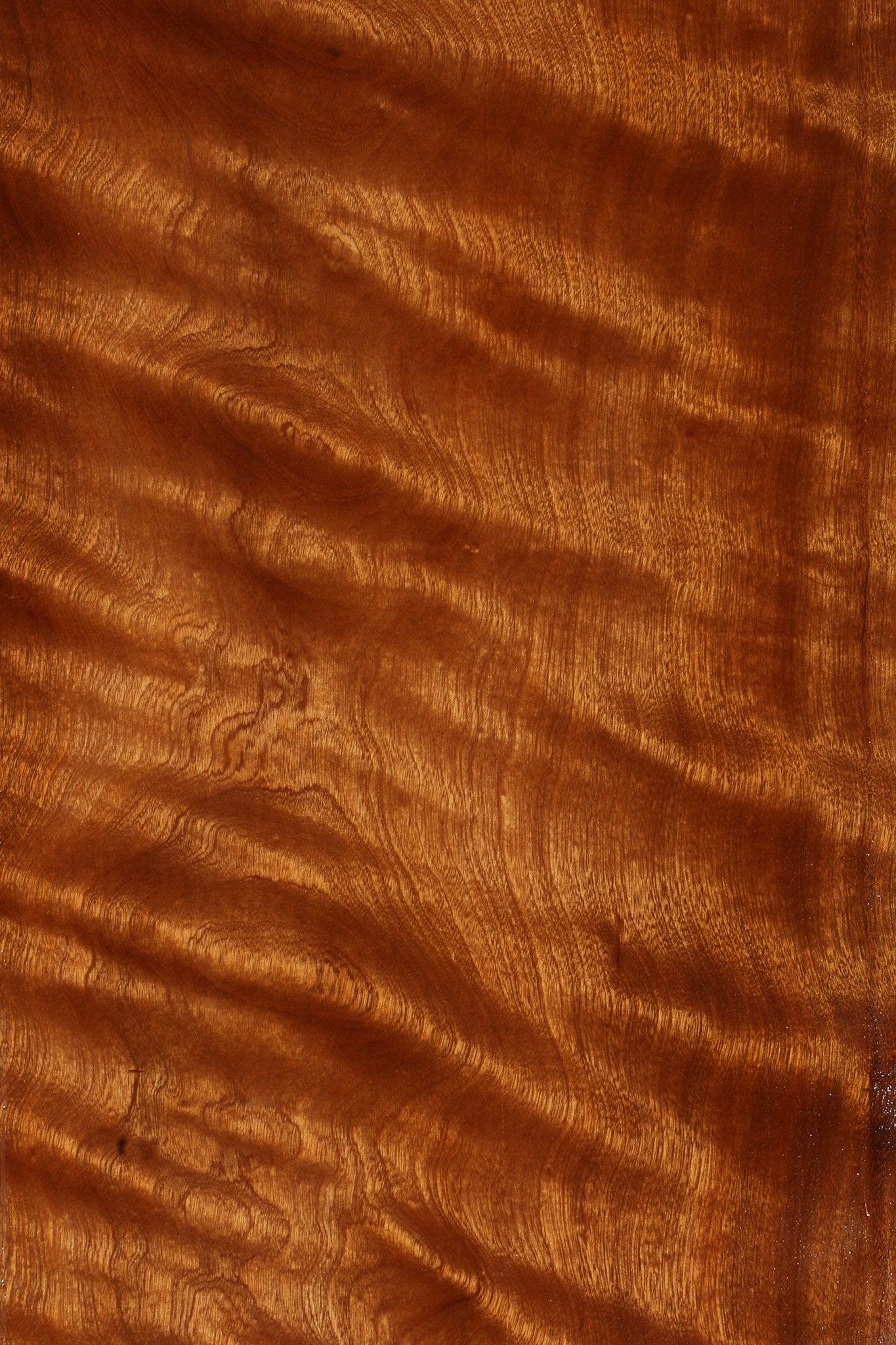 Extra Fancy Sapele Lumber