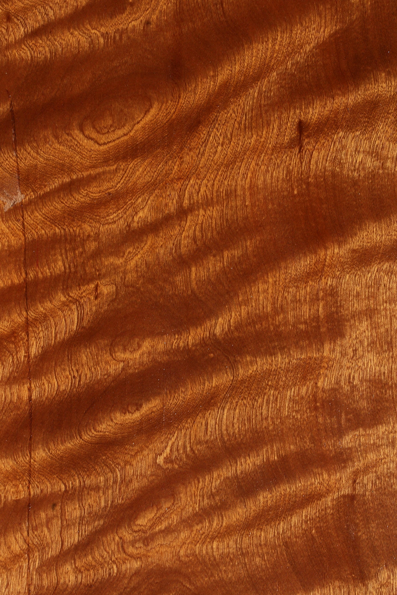 Extra Fancy Sapele Lumber