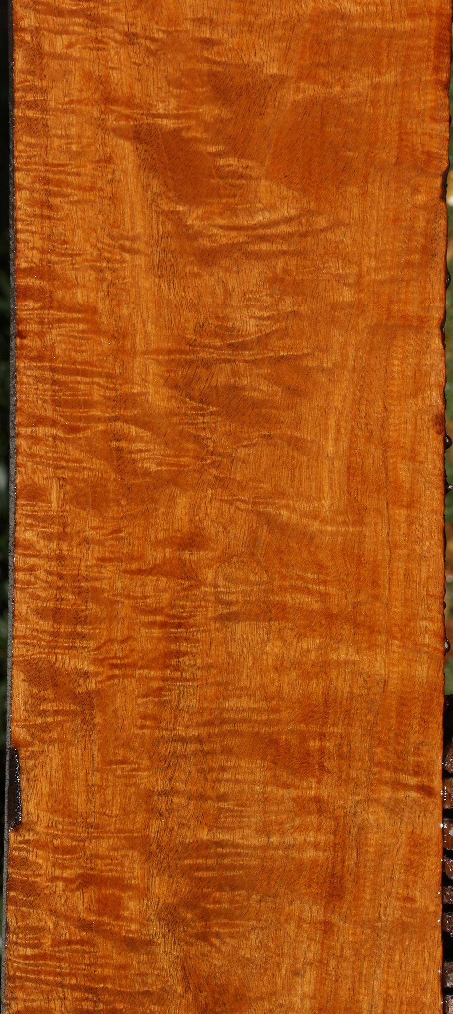 Exhibition Fiddleback Honduras Mahogany Lumber