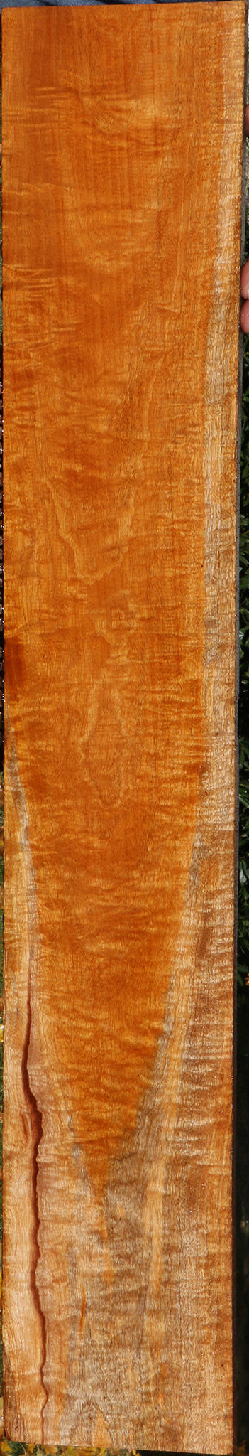 Exhibition Fiddleback Honduras Mahogany Lumber