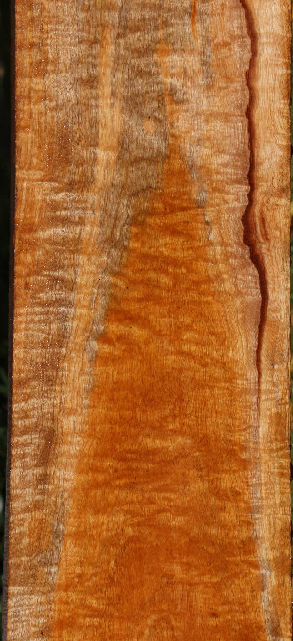 Exhibition Fiddleback Honduras Mahogany Lumber