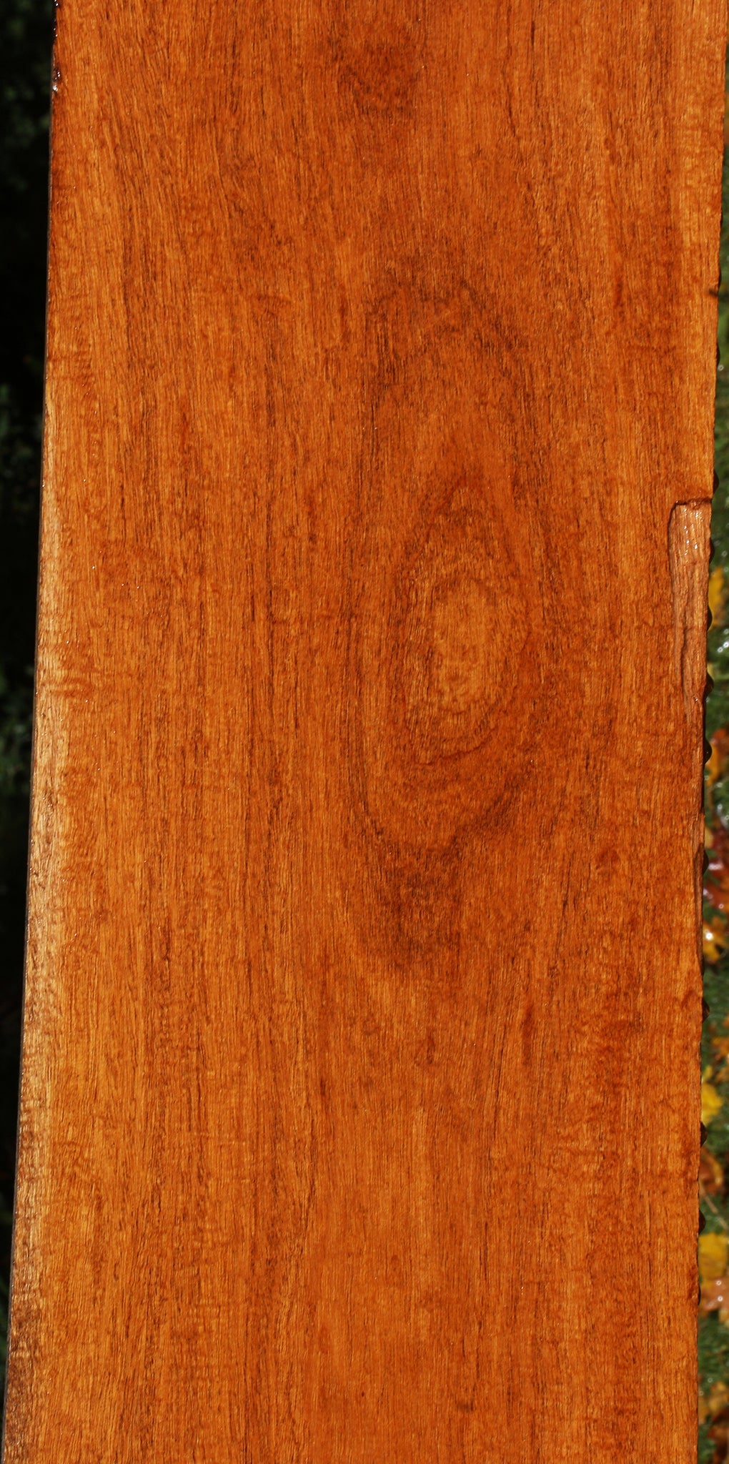 Extra Fancy Honduras Mahogany Lumber