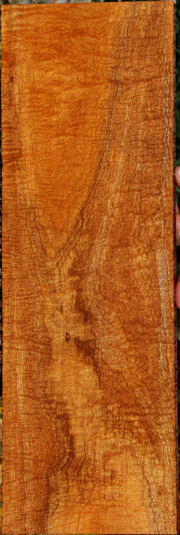 Exhibition Fiddleback Honduras Mahogany Lumber