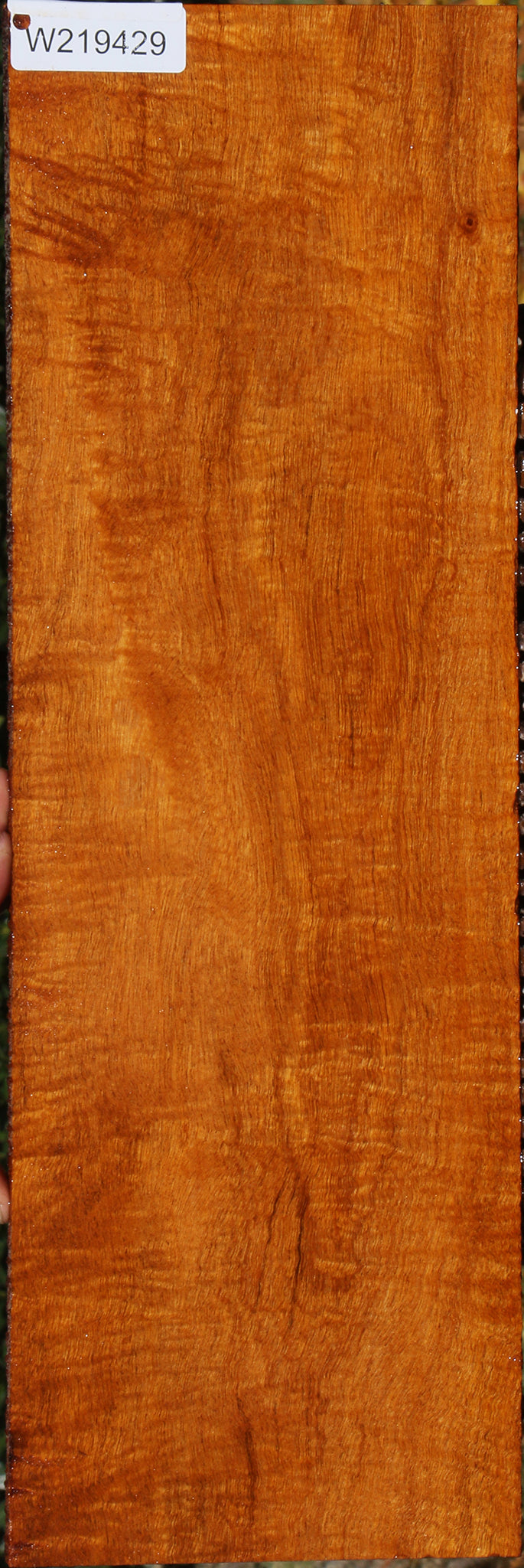 Exhibition Fiddleback Honduras Mahogany Lumber