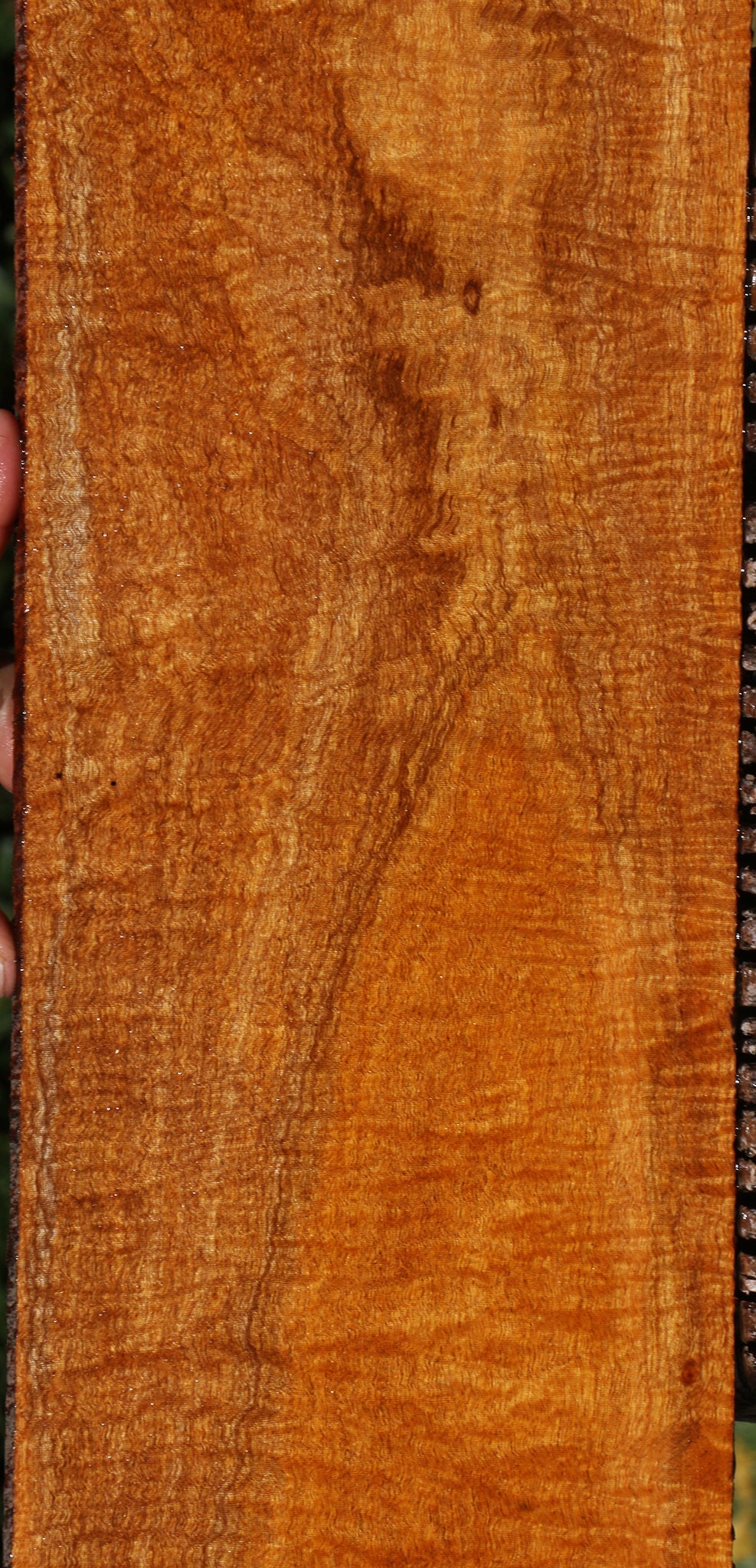 Exhibition Fiddleback Honduras Mahogany Lumber