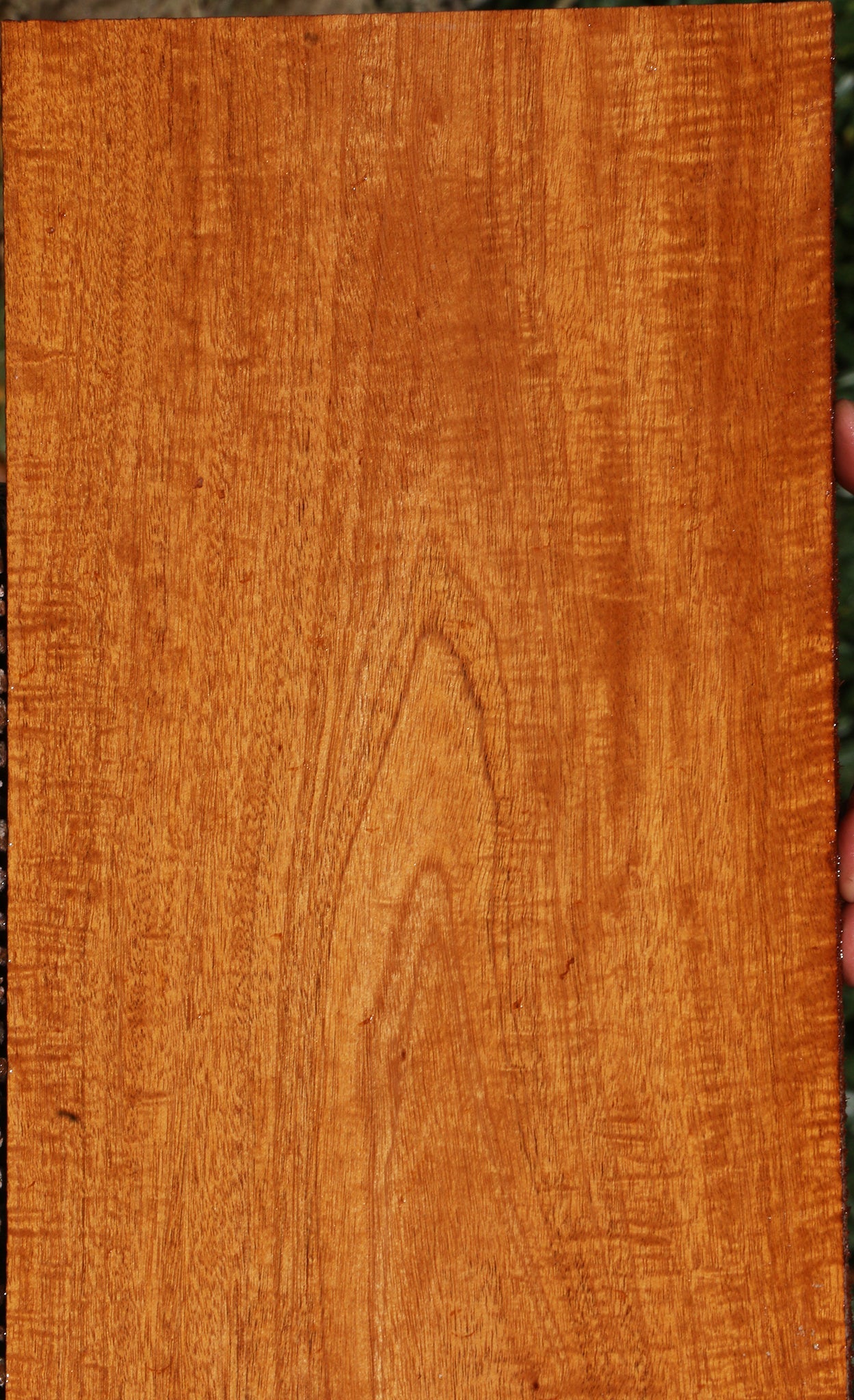 Extra Fancy Fiddleback Honduras Mahogany Lumber