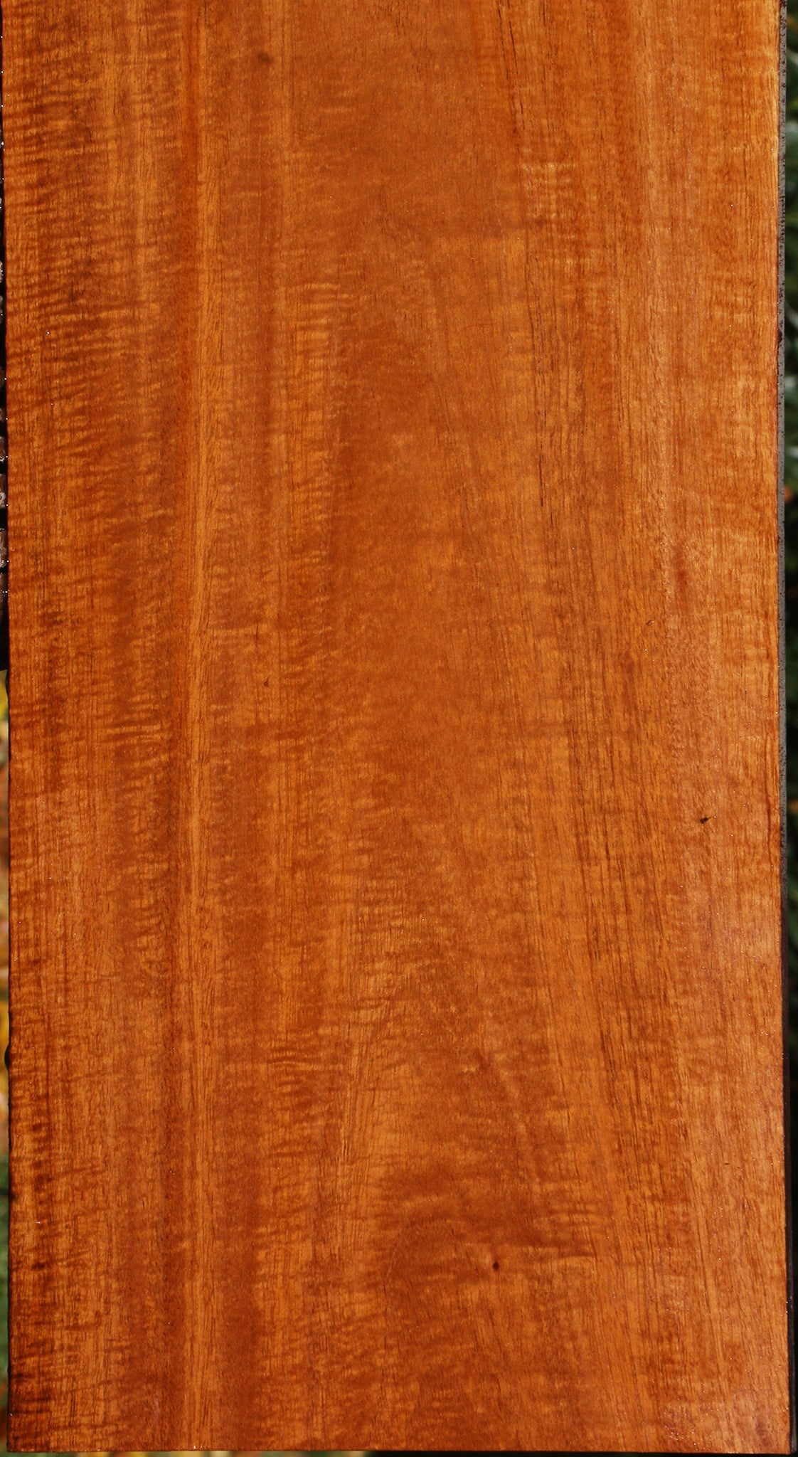 Extra Fancy Fiddleback Honduras Mahogany Lumber