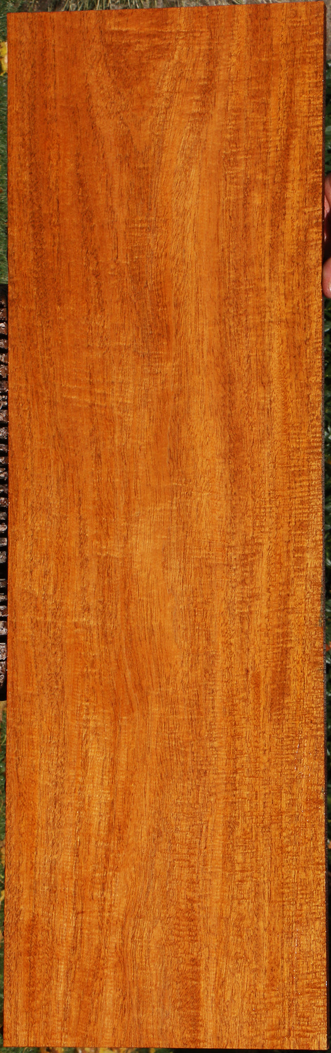 Extra Fancy Fiddleback Honduras Mahogany Lumber