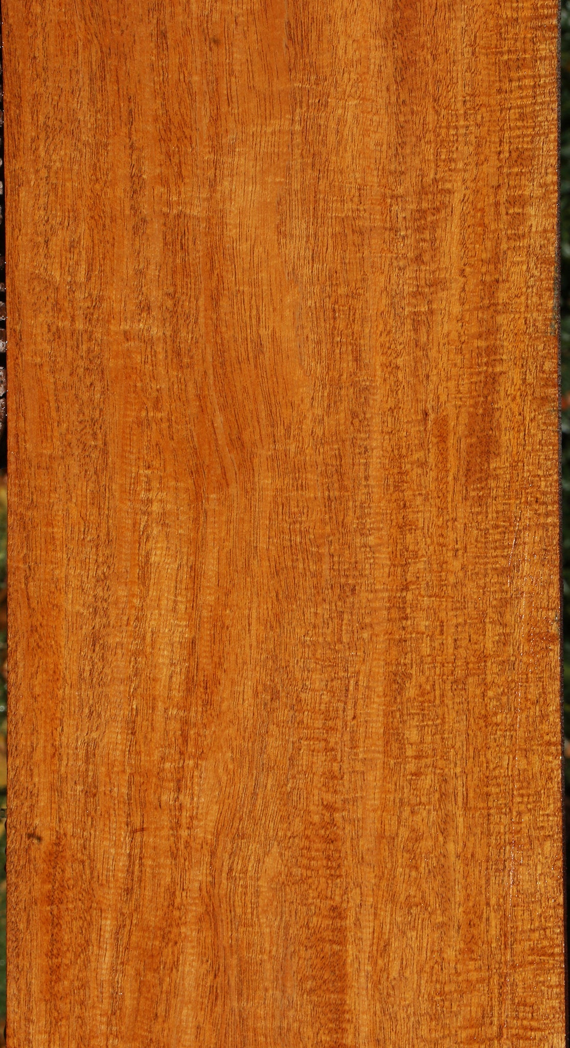 Extra Fancy Fiddleback Honduras Mahogany Lumber