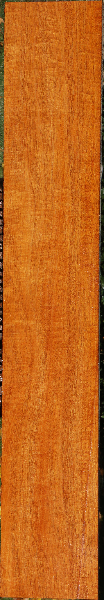 Extra Fancy Fiddleback Honduras Mahogany Lumber