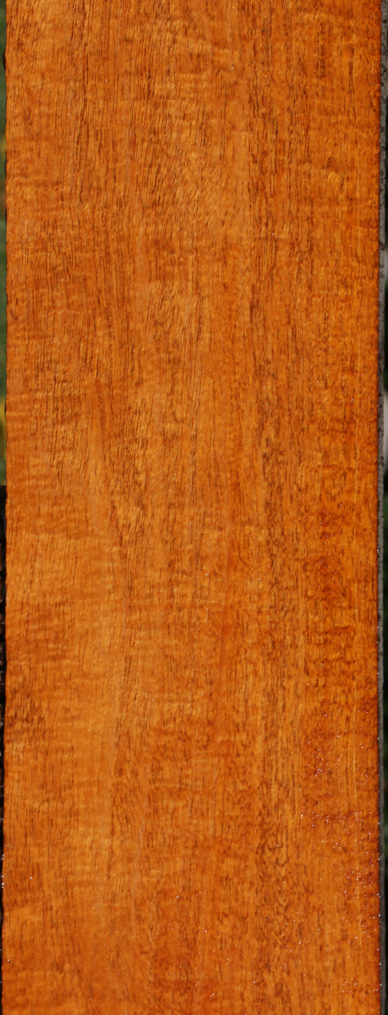 Extra Fancy Fiddleback Honduras Mahogany Lumber